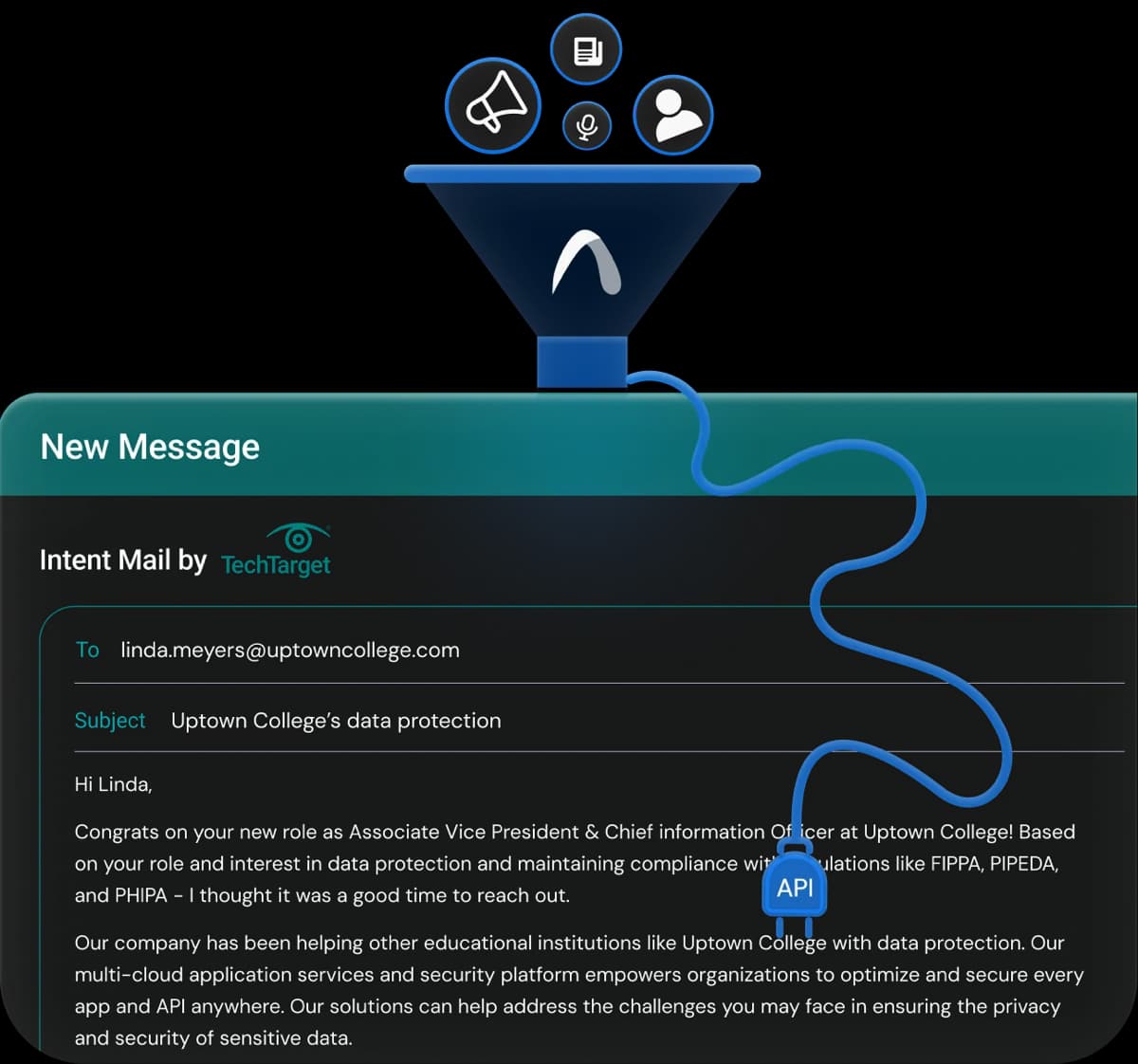 Embedded API integration interface